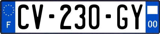 CV-230-GY