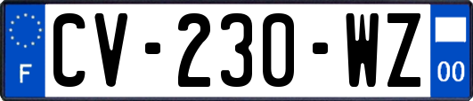 CV-230-WZ