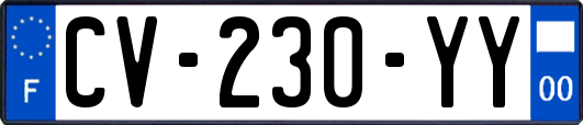 CV-230-YY