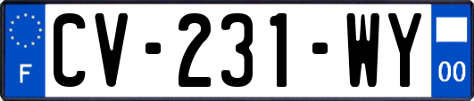 CV-231-WY