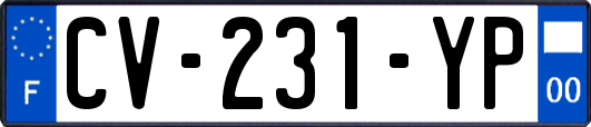 CV-231-YP