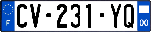 CV-231-YQ