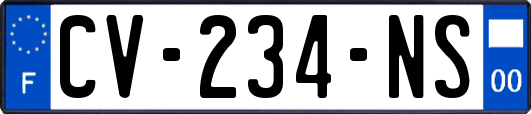 CV-234-NS