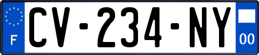CV-234-NY