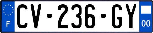 CV-236-GY
