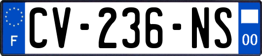 CV-236-NS
