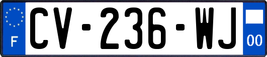 CV-236-WJ