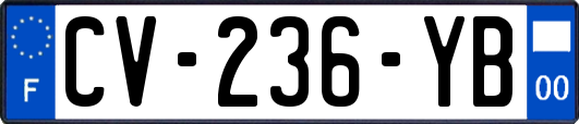 CV-236-YB