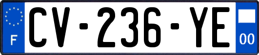 CV-236-YE