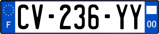 CV-236-YY