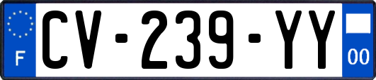 CV-239-YY