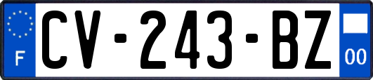 CV-243-BZ