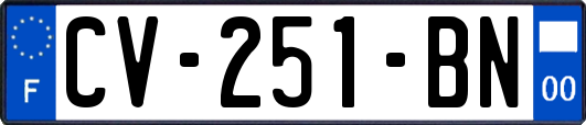 CV-251-BN