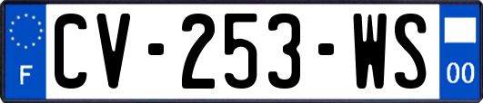 CV-253-WS