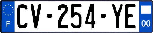 CV-254-YE