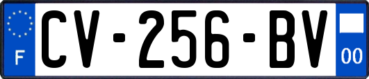 CV-256-BV