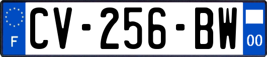 CV-256-BW