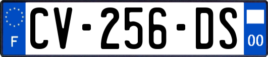 CV-256-DS