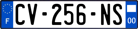 CV-256-NS