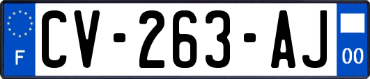 CV-263-AJ