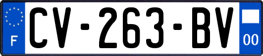 CV-263-BV