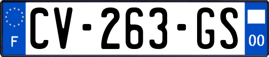 CV-263-GS