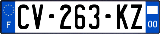 CV-263-KZ