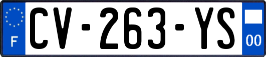 CV-263-YS