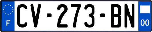 CV-273-BN