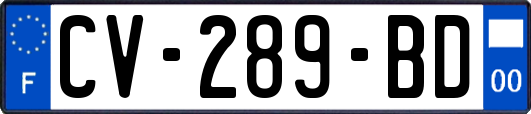 CV-289-BD