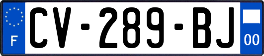 CV-289-BJ