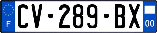 CV-289-BX