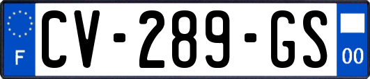 CV-289-GS