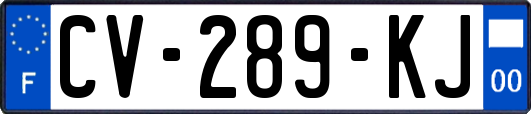 CV-289-KJ