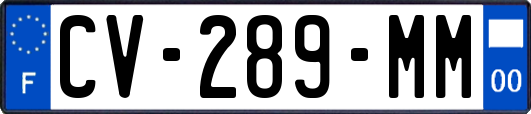 CV-289-MM