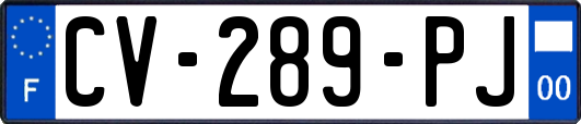 CV-289-PJ