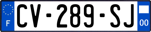 CV-289-SJ