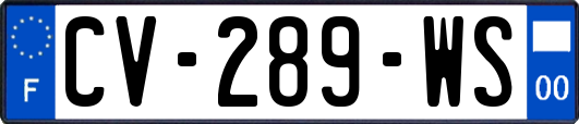 CV-289-WS