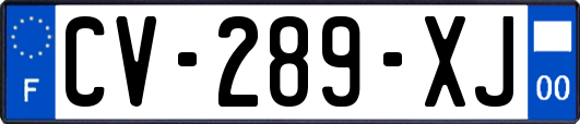 CV-289-XJ