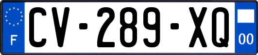 CV-289-XQ