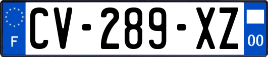 CV-289-XZ
