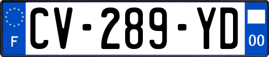 CV-289-YD