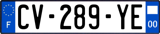 CV-289-YE