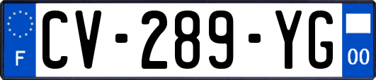 CV-289-YG