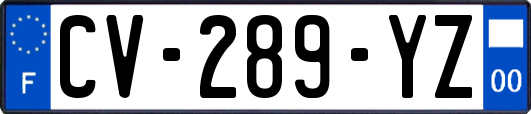 CV-289-YZ
