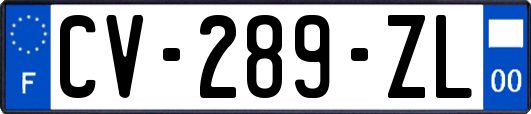 CV-289-ZL