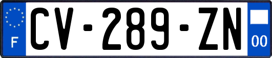 CV-289-ZN