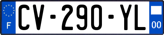 CV-290-YL
