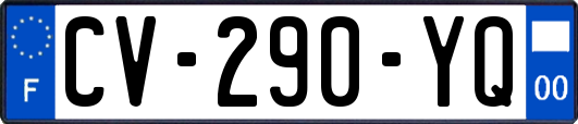 CV-290-YQ