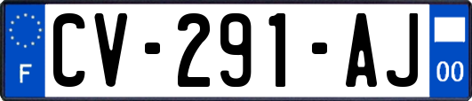 CV-291-AJ
